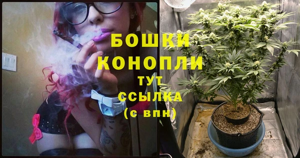 героин Богданович