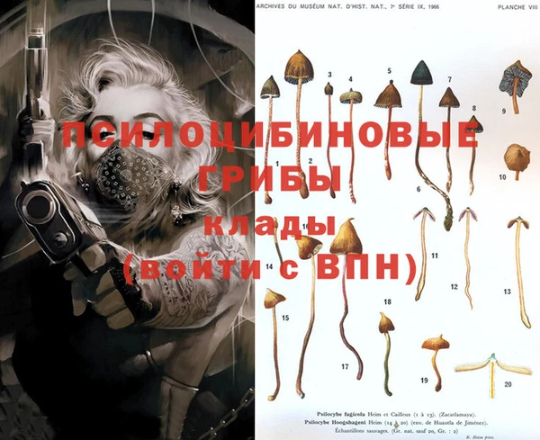 героин Богданович