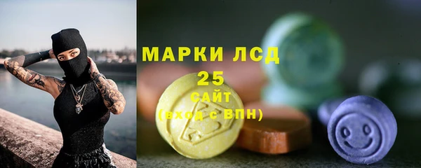 шишки Беломорск