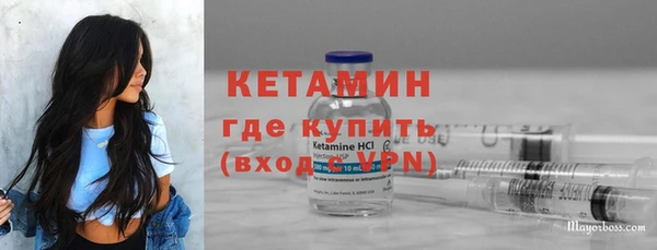 шишки Беломорск